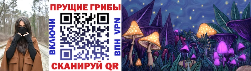 Псилоцибиновые грибы ЛСД  продажа наркотиков  Заречный 