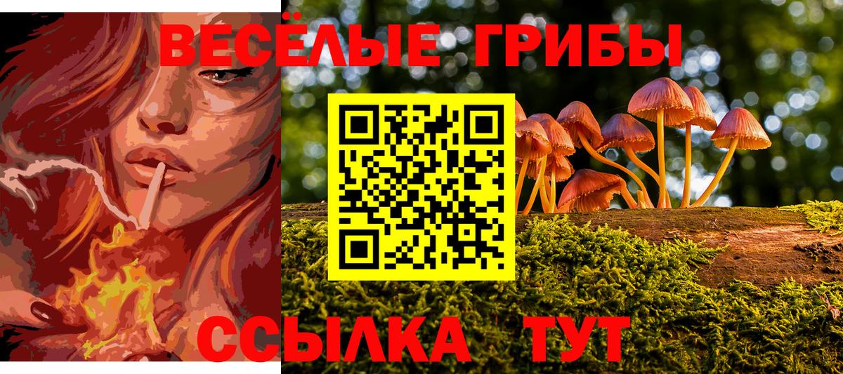 Псилоцибиновые грибы мицелий Заречный