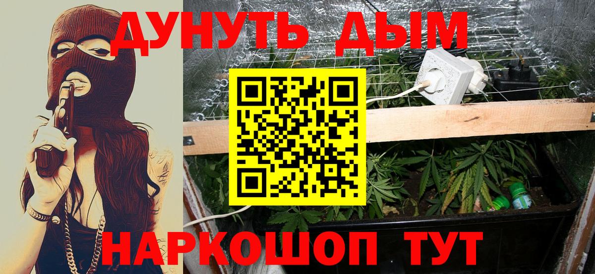 Бошки Шишки Ganja  Вход с VPN  Канабис планчик  Конопля Bruce Banner  Марихуана ГИДРОПОН  Заречный 
